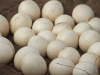 FERTILE-OSTRICH-AND-PARROTS-EGGS-AVAILABLE-IN-A-LARGE-QUANTITY-FOR-SALE-